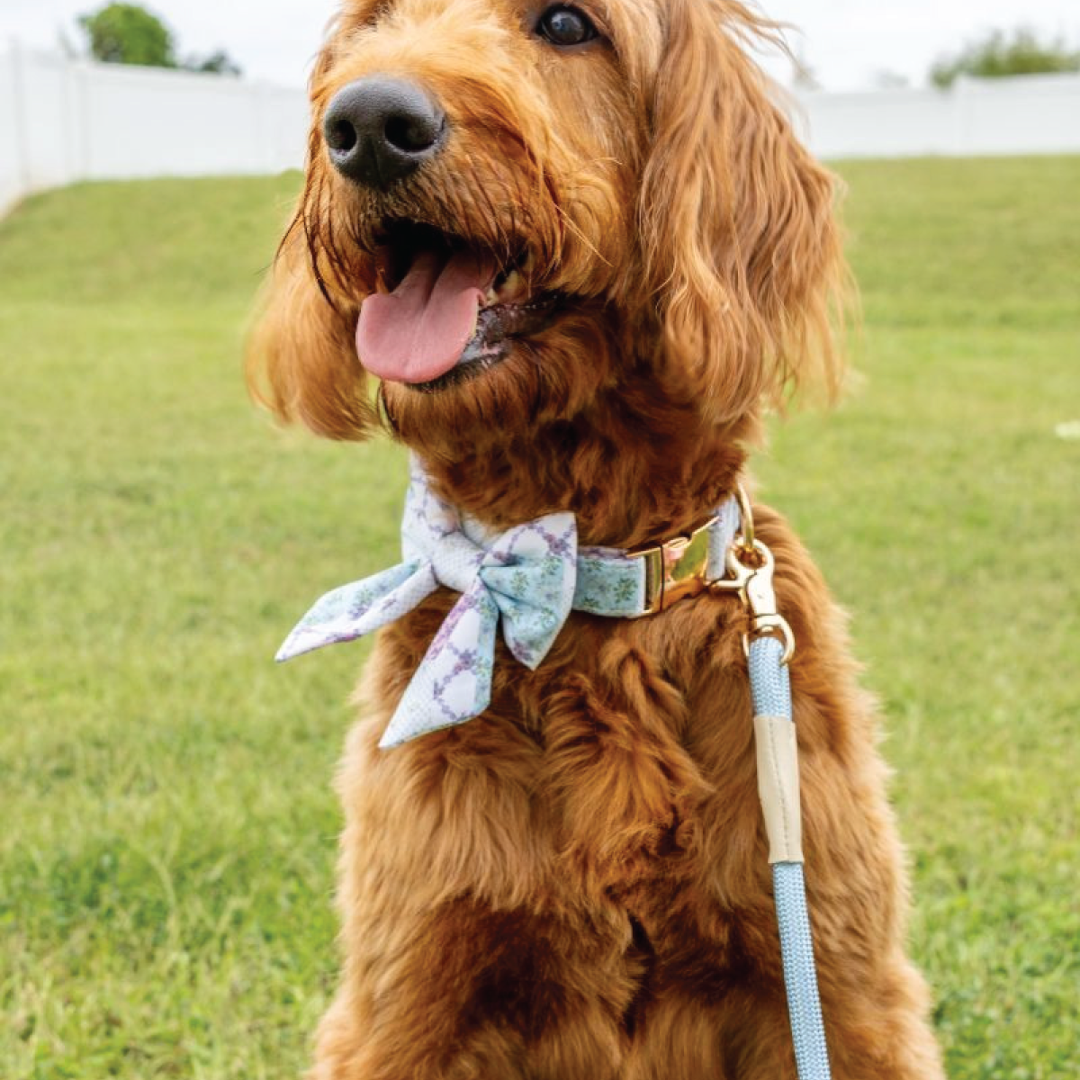 Simply Southernยฎ Pet Leash: Turquoise
