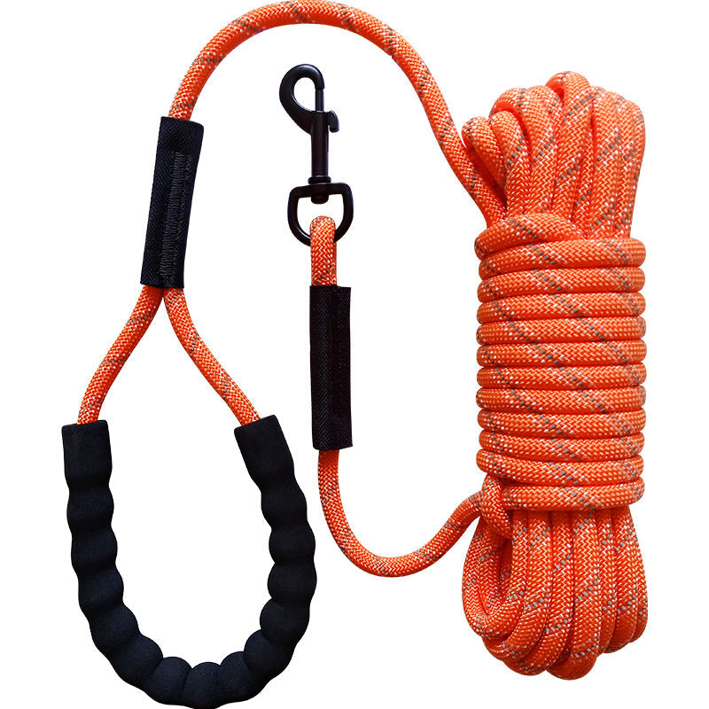 Dog Leash 2-meter And Extended Strap