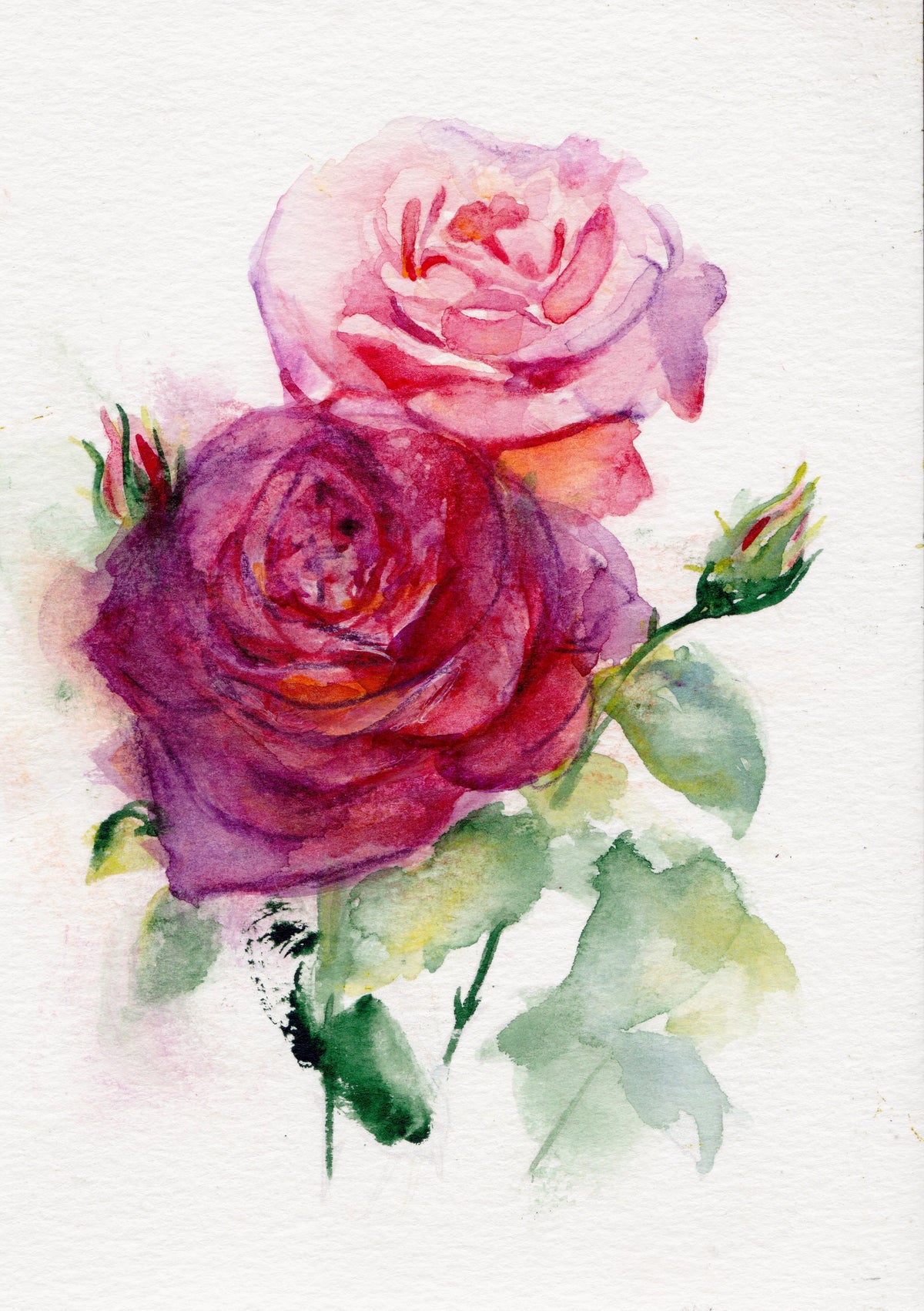 Rose โ June Birth Flower Art Print