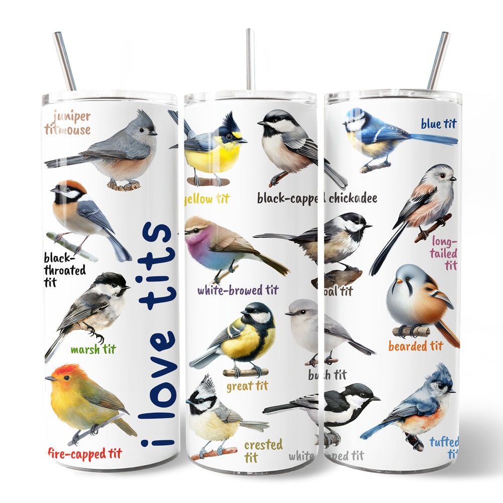 Whimsical Bird Tit 20oz Personalized Tumbler With Lid and Stainless Steel Straw, Funny Birdwatcher Gift Cup