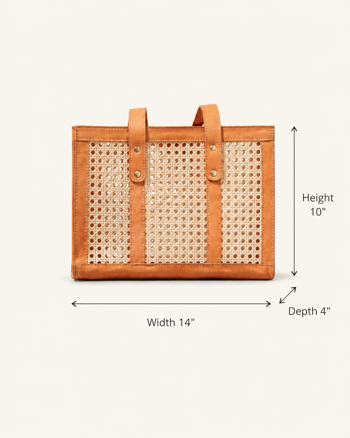 Raja Leather and Cane Everyday Bag
