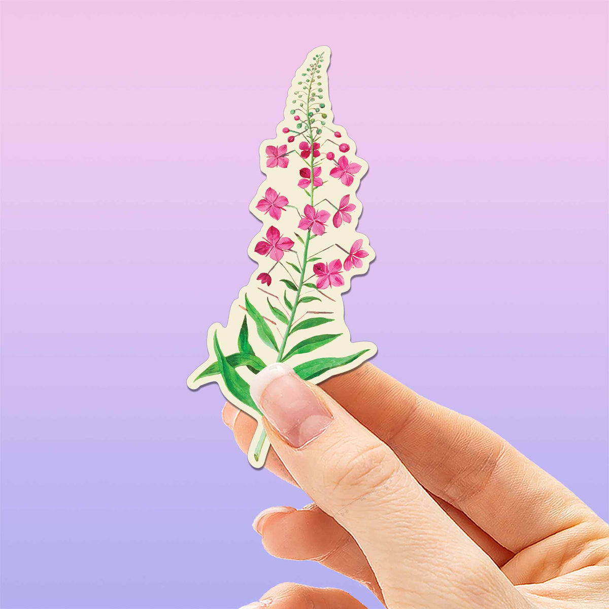 Alaska Fireweed Flower Sticker