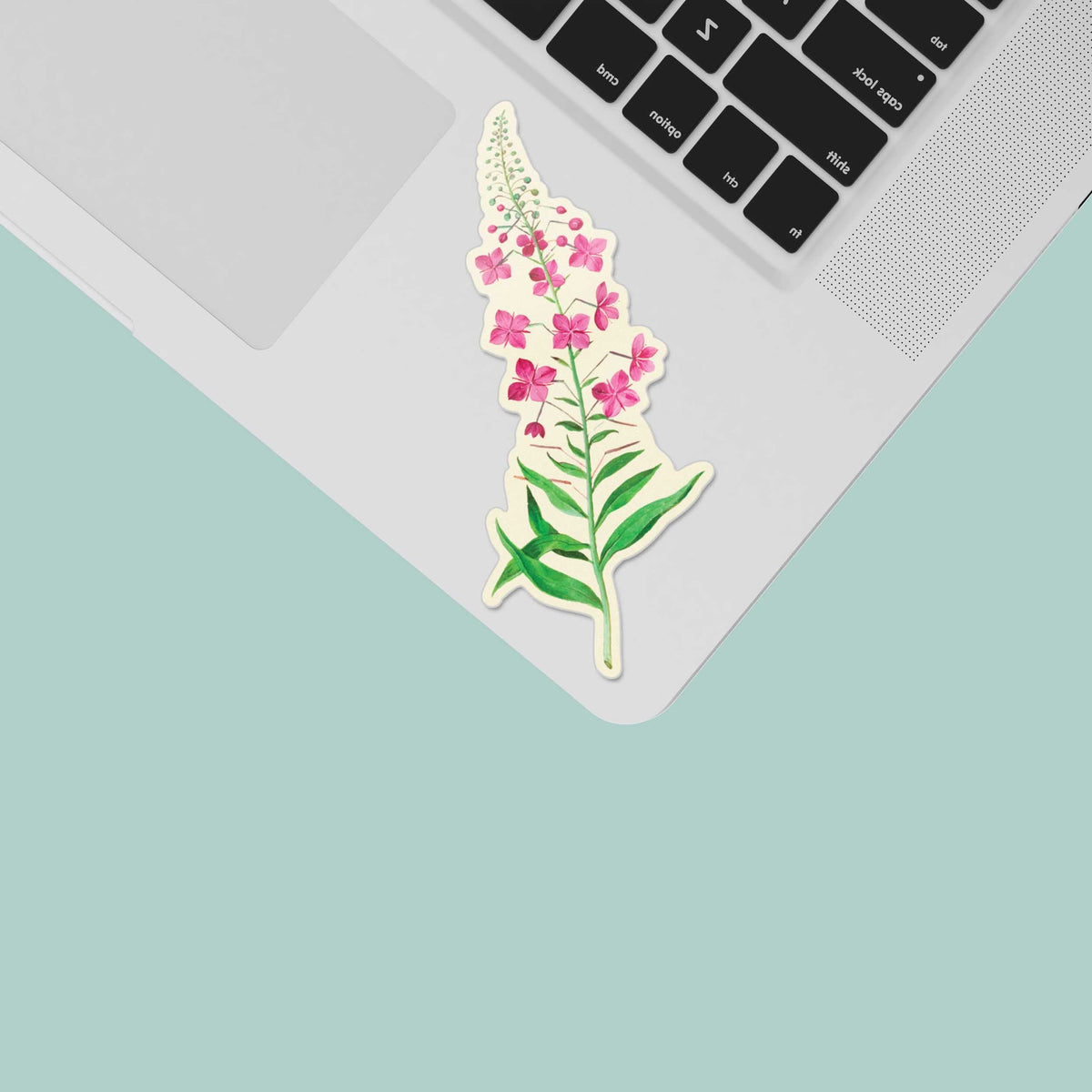 Alaska Fireweed Flower Sticker
