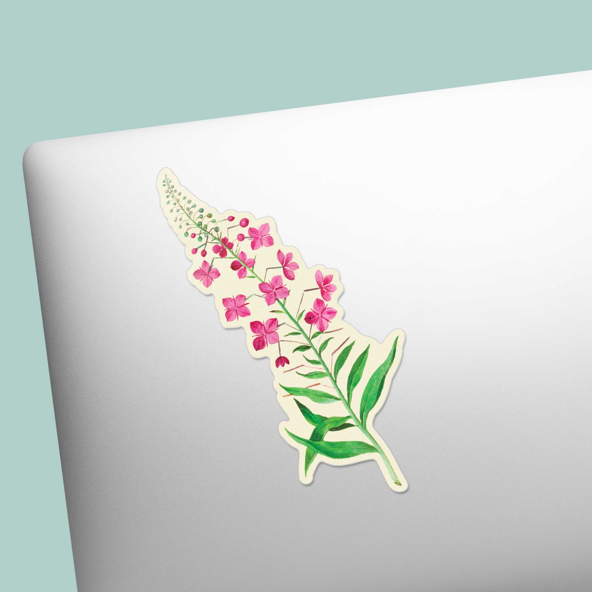 Alaska Fireweed Flower Sticker