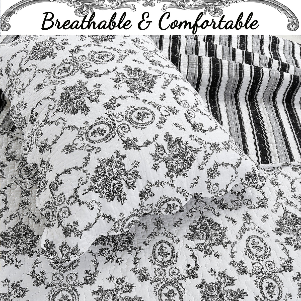 French Medallion Black Scalloped Edge Cotton 3-piece Reversible Quilt Bedding Set