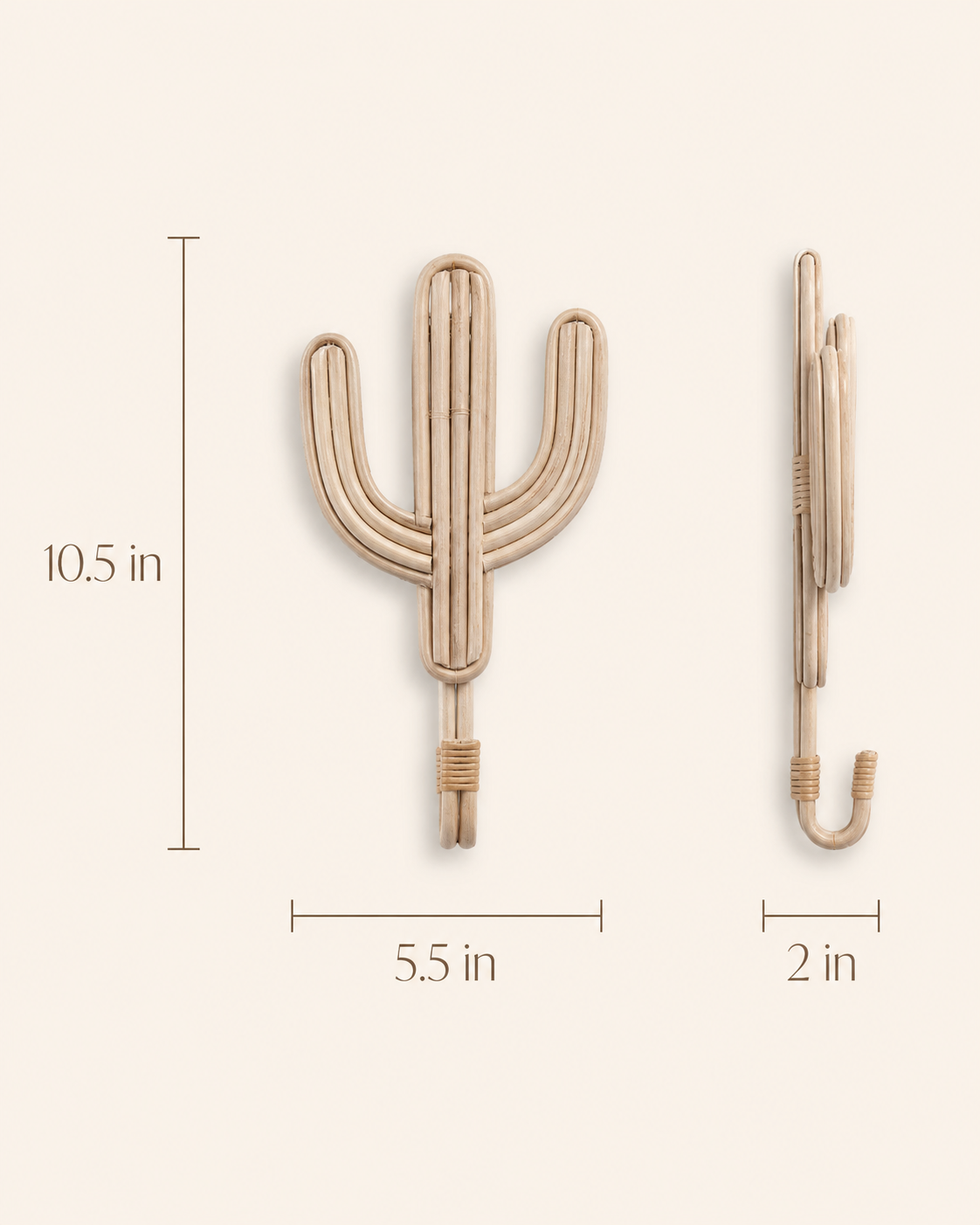 Cactus Wall Hook