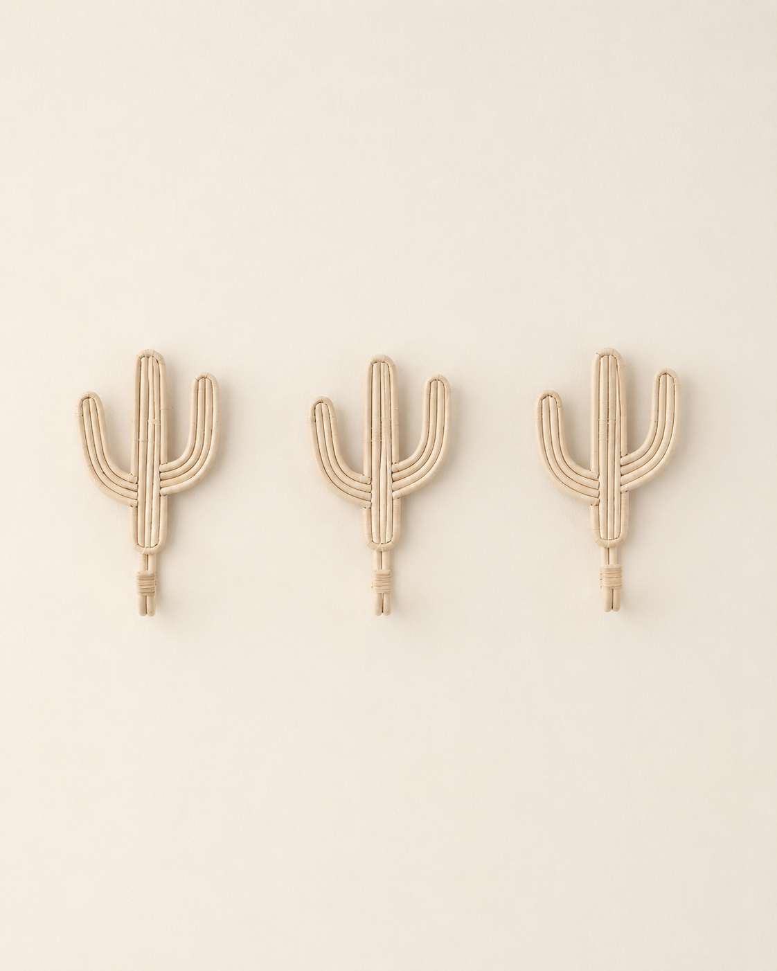 Cactus Wall Hook