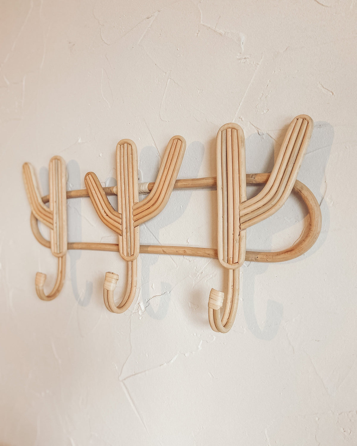 Cactus Multi Wall Hook