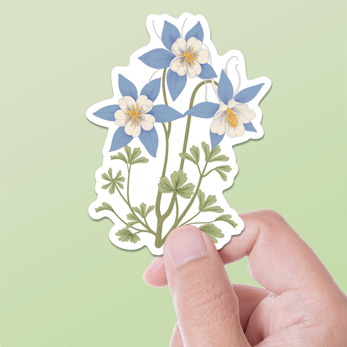 Colorado Columbine Flower Sticker