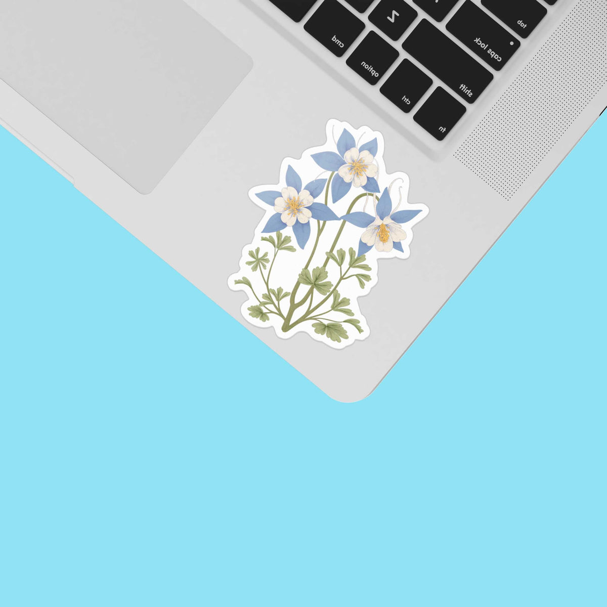 Colorado Columbine Flower Sticker