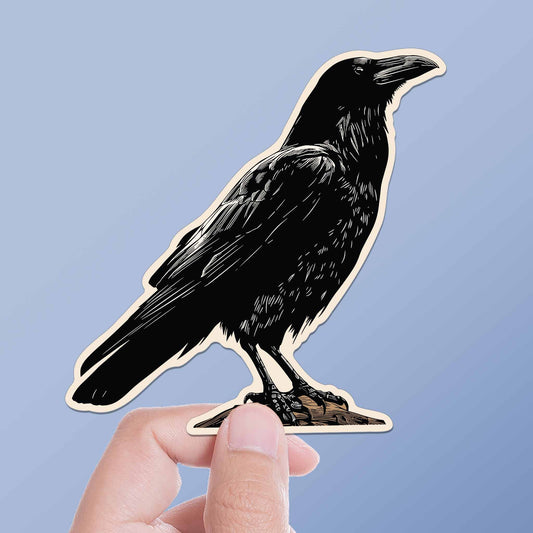 Crow Birdwatching Sticker