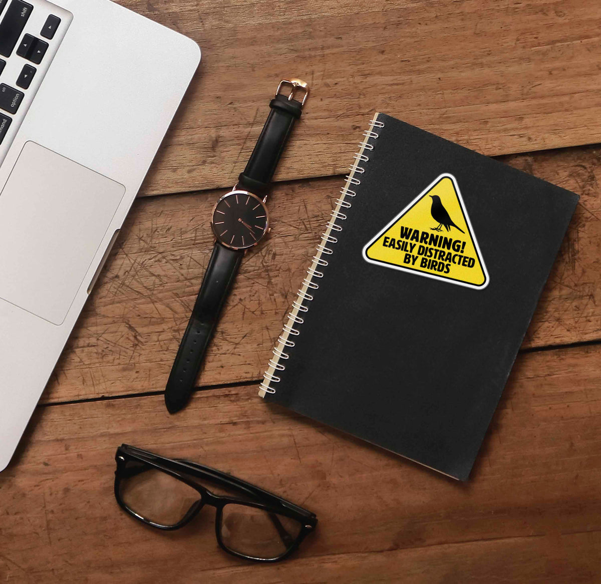Easily Distracted by Birds Sticker - Funny Birdwatching Decal
