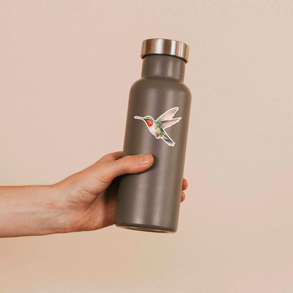 Hummingbird Sticker - Mini Birdwatching Decal