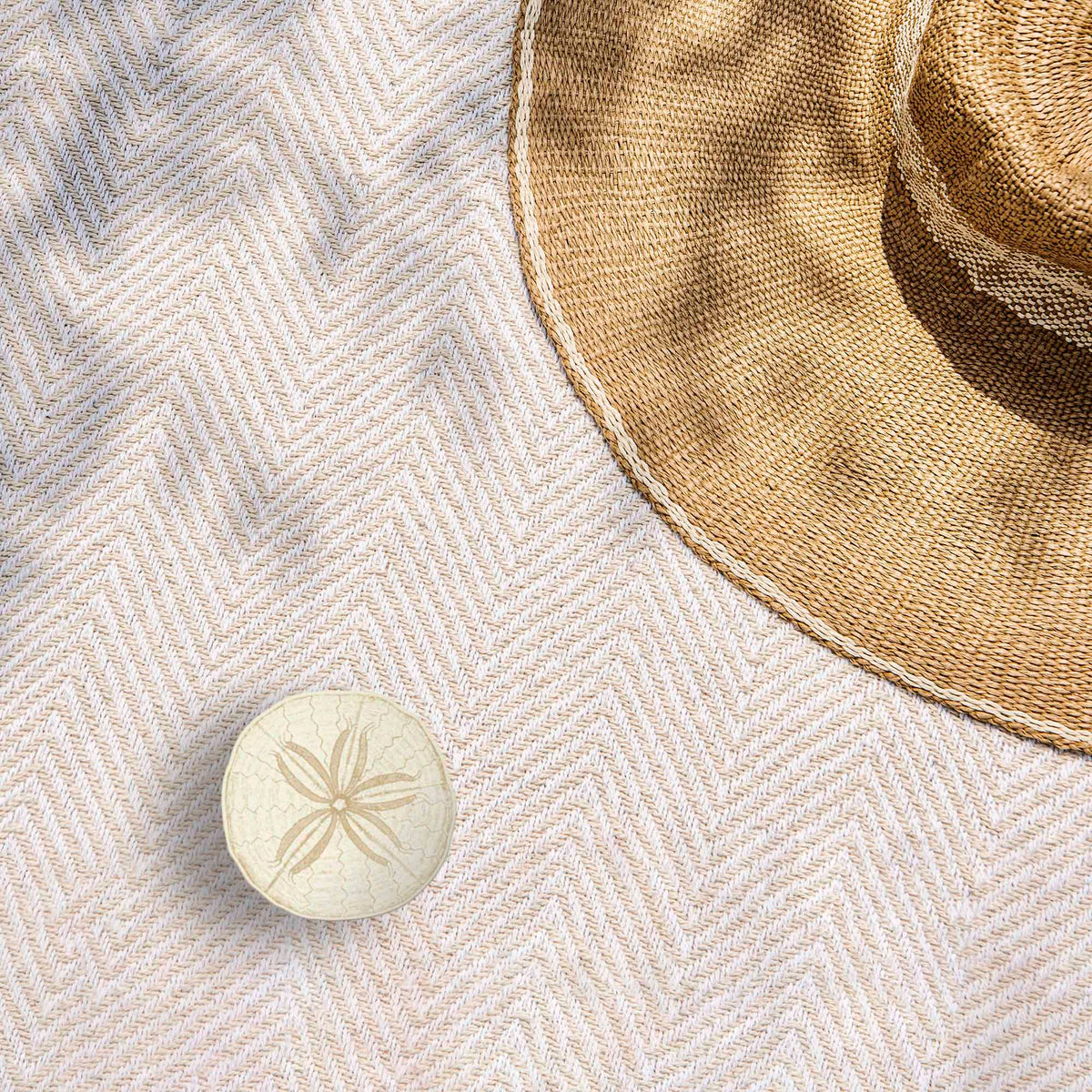 Sand Dollar Sticker - Cool Ocean Decal