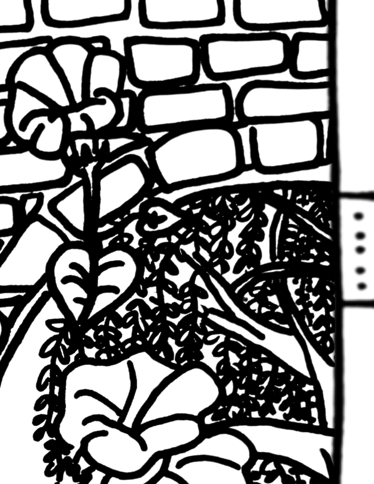 Major Arcana Tarot Coloring Page - 𝕿𝖍𝖊 𝕱𝖔𝖔𝖑