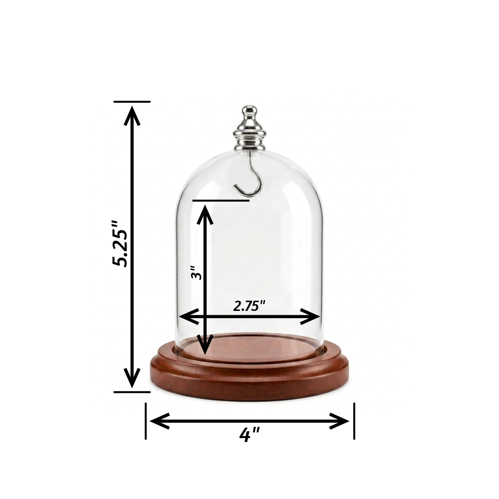 Pocket Watch Glass Display Dome Cloche Silver Knob & Hook Walnut Stained Base 3"x4"
