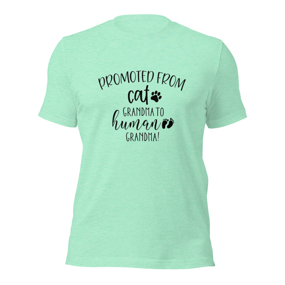 Promoted from Cat Grandma to Human Grandma T-Shirt